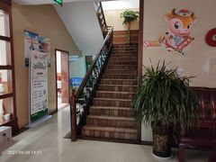 -陶然饺子城(奥体中路店)