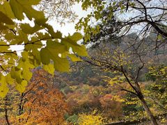 -北京上方山国家森林公园