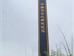 -茯茶镇