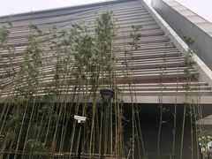 -上海市徐汇区口腔医院
