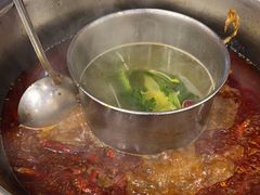 -金鼎雪山牦牛杂火锅(理县总店)