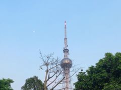 -文华公园(禅城区)
