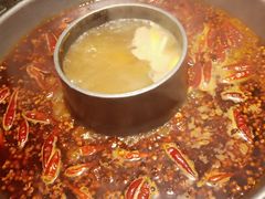 火锅-杨肥肠火锅大排档(火车站花园店)