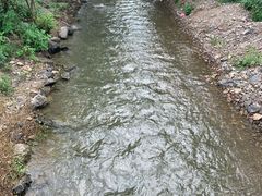 -天目湖松岭竹海漂流