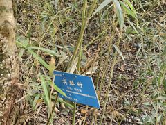 -中山市树木园