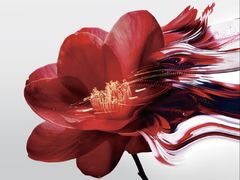 -交通银行前滩31演艺中心