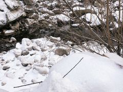 -秦岭风景区