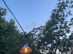 -毛辣果·酸(OHA复兴西路店)