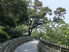 -福道