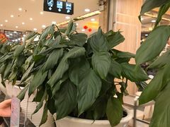 -椿记烧鹅(北门店)