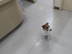 -宠颐生宠物医院·心肾内科·猫专科诊疗中心宠巢店
