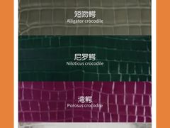 -海星奢选二手奢侈品手表包包鉴定回收寄卖(墨玉南路店)