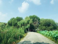 -东湖落雁景区