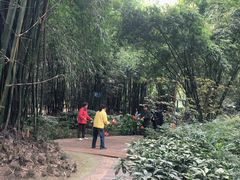 -望江楼公园