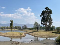 -洱海月湿地公园
