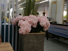 -确喜美味小厨(西单商场兰州店)