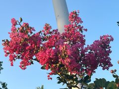 -苏州香山国际大酒店