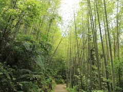 -千泷沟大瀑布旅游区
