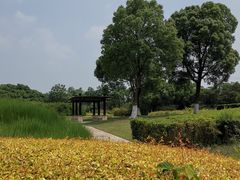 -九里河湿地公园