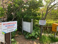 -龙头岩(Dragon Head Rock)