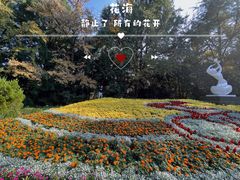 -杭州植物园