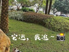 -东山湖公园