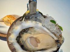 -Oyster Talks 四度蚝法餐厅