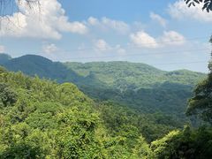 -广州市帽峰山景区