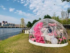 -长白岛森林公园