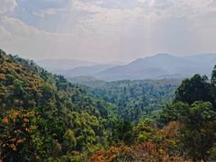 -中国科学院西双版纳热带植物园