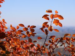 -香山公园