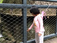 -永泰中国云顶