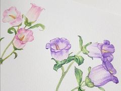 -八哥美术·成人美术画室(总校区)