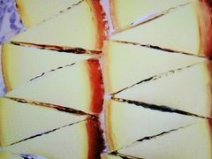 -上海申伦职业技能培训中心