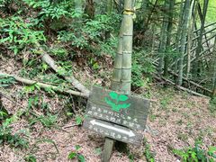 -四明山国家森林公园