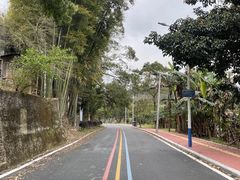 -红山村