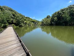 -千岛湖东南湖区
