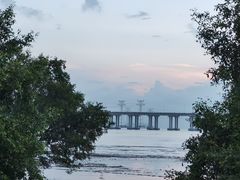 -宝安西湾红树林湿地公园