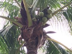 -三亚南山文化旅游区