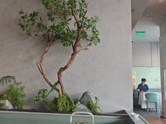 -眉州东坡(翠微印象城店)