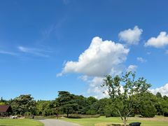 -上海滨江森林公园