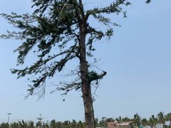 -白沙门生态公园