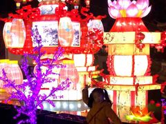 -横店影视城梦幻谷园区
