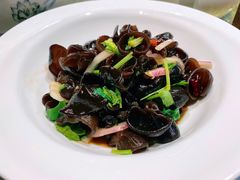 巧拌秋耳-老阿妈蒙古村·蒙古包·草原文化·歌舞表演(老君堂店)
