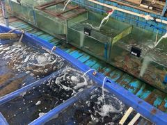 -蓝湾碧波·老字号·疍家非遗海上餐厅
