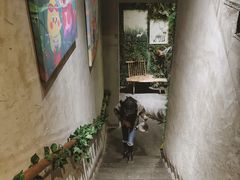 -狐狸爱上椰子鸡(滨江星光大道店)