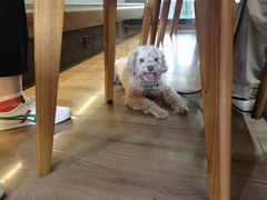 -一叶觅山(半边街店)