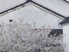 -广富林宰相府酒店·水云间