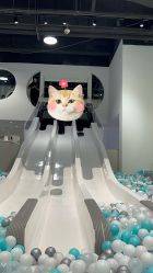 -MINI MARS KIDS CLUB亲子家庭中心(长宁天山店)