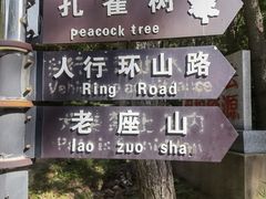 -金龙寺国家森林公园
